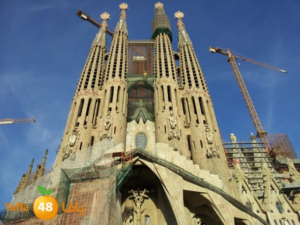 ahmedaboajwabarca (3).jpg